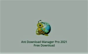 Ant Download Manager Crack 2.10.2 Build 85987 {Registration}